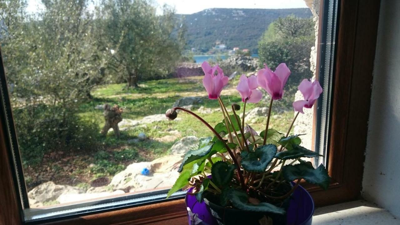 Holiday Home Strpuncina Luka  Exterior foto